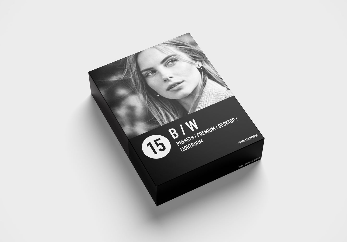 15 LIGHTROOM PRESETS - B/W