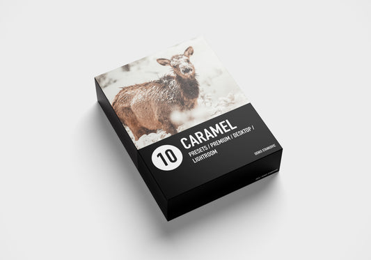 10 LIGHTROOM PRESETS - Caramel