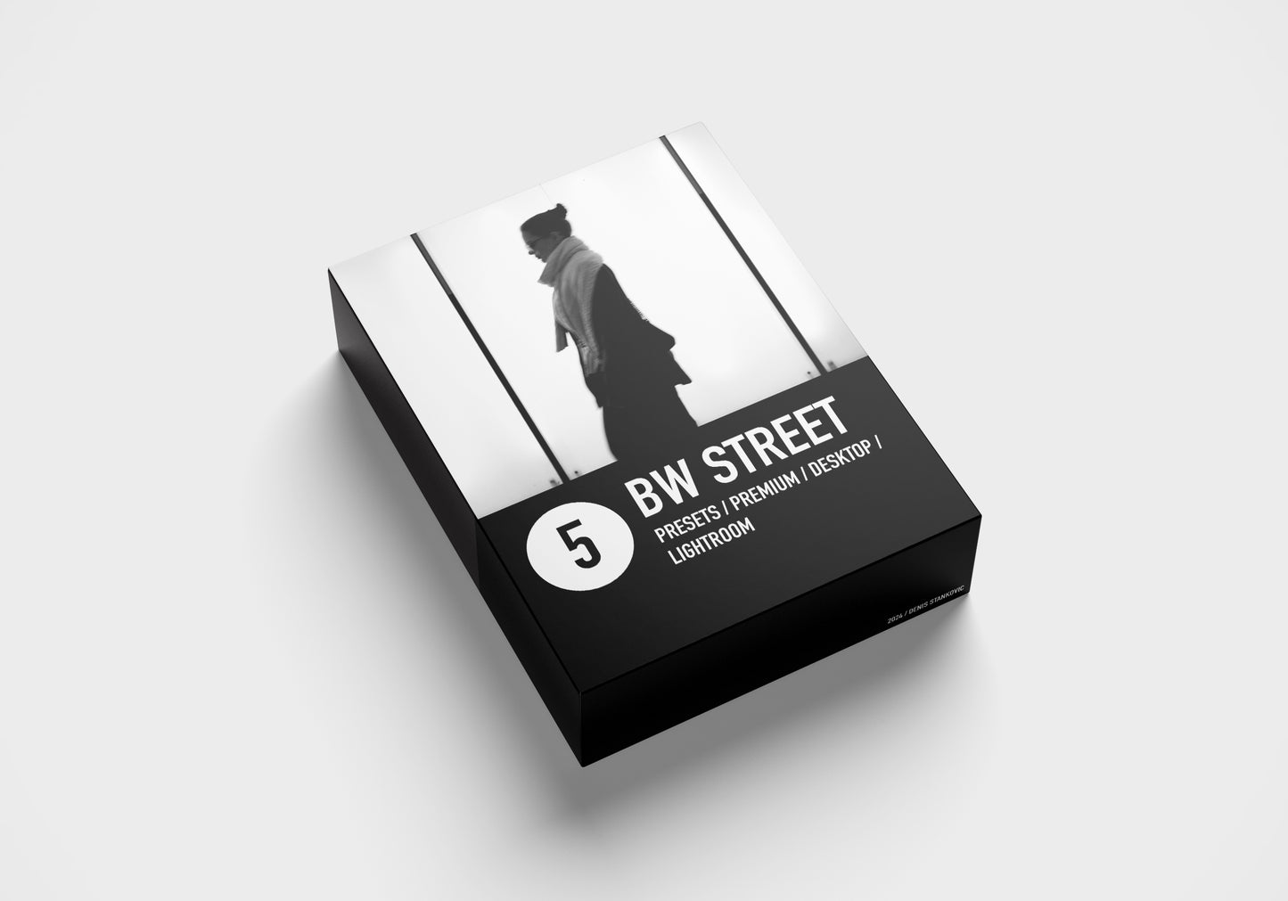 5 LIGHTROOM PRESETS - B/W Street